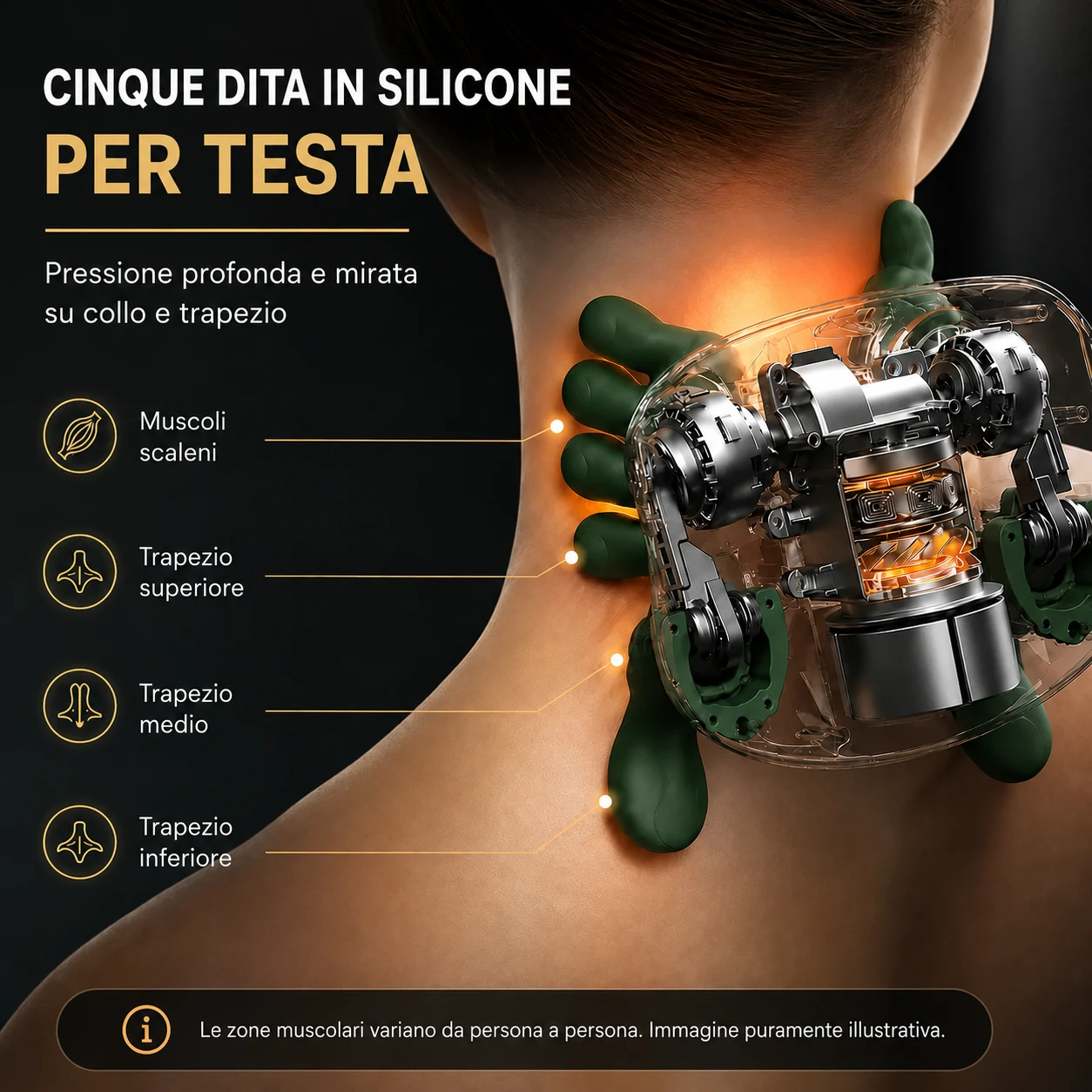 Sezione della testa di massaggio su un collo, con i muscoli scaleni e il trapezio superiore, medio e inferiore